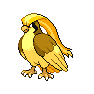 Shiny Pidgeot as it appears in Brilliant Diamond & Shining Pearl