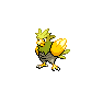 Shiny Spearow as it appears in Brilliant Diamond & Shining Pearl