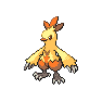 Shiny Combusken as it appears in Sword & Shield