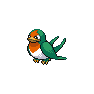 Shiny Taillow as it appears in Brilliant Diamond & Shining Pearl