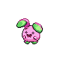 Shiny Whismur as it appears in Sword & Shield