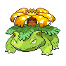 Shiny Venusaur as it appears in Sword & Shield