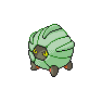 Shiny Shelgon as it appears in Brilliant Diamond & Shining Pearl