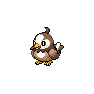Shiny Starly as it appears in Scarlet & Violet