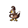 Shiny Staravia as it appears in Scarlet & Violet