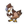 Shiny Staraptor as it appears in Scarlet & Violet