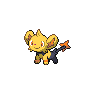 Shiny Shinx as it appears in Scarlet & Violet