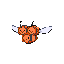 Shiny Combee as it appears in Brilliant Diamond & Shining Pearl