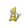 Shiny Buizel as it appears in Brilliant Diamond & Shining Pearl