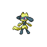 Shiny Riolu as it appears in Scarlet & Violet