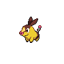 Shiny Tepig as it appears in Scarlet & Violet