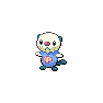 Shiny Oshawott as it appears in Scarlet & Violet