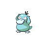 Shiny Psyduck as it appears in Sword & Shield