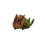 Shiny Venipede as it appears in Sword & Shield