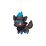 Shiny Zorua as it appears in Scarlet & Violet