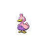 Shiny Ducklett as it appears in Scarlet & Violet