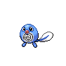 Shiny Poliwag as it appears in Scarlet & Violet
