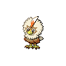 Shiny Rufflet as it appears in Sword & Shield