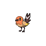 Shiny Fletchling as it appears in Scarlet & Violet
