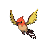Shiny Fletchinder as it appears in Sword & Shield