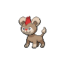 Shiny Litleo as it appears in Scarlet & Violet