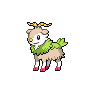 Shiny Skiddo as it appears in Scarlet & Violet