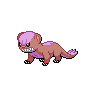 Shiny Yungoos as it appears in Scarlet & Violet