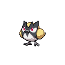 Shiny Rookidee as it appears in Sword & Shield