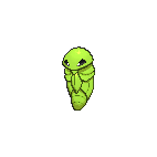 Shiny Kakuna as it appears in Omega Ruby & Alpha Sapphire
