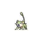 Shiny Rattata as it appears in X & Y