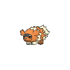 Shiny Zigzagoon as it appears in X & Y