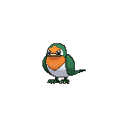 Shiny Taillow as it appears in X & Y