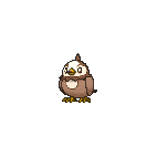 Shiny Starly as it appears in Omega Ruby & Alpha Sapphire