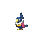 Shiny Chatot as it appears in X & Y