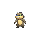 Shiny Patrat as it appears in X & Y
