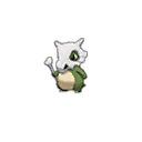 Shiny Cubone as it appears in Sun & Moon