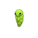 Shiny Kakuna as it appears in Ultra Sun & Ultra Moon