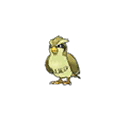 Shiny Pidgey as it appears in Ultra Sun & Ultra Moon