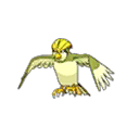 Shiny Pidgeotto as it appears in Ultra Sun & Ultra Moon