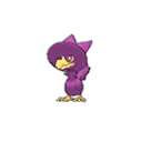 Shiny Murkrow as it appears in Ultra Sun & Ultra Moon