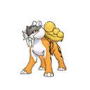 Shiny Raikou as it appears in Ultra Sun & Ultra Moon