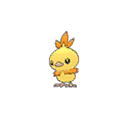 Shiny Torchic as it appears in Sun & Moon