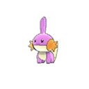 Shiny Mudkip as it appears in Ultra Sun & Ultra Moon