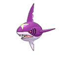 Shiny Sharpedo as it appears in Ultra Sun & Ultra Moon