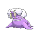 Shiny Walrein as it appears in Ultra Sun & Ultra Moon