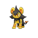 Shiny Luxio as it appears in Sun & Moon