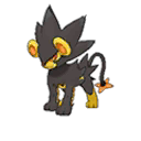 Shiny Luxray as it appears in Ultra Sun & Ultra Moon