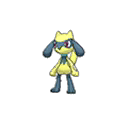 Shiny Riolu as it appears in Sun & Moon