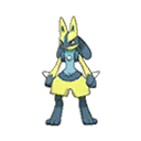 Shiny Lucario as it appears in Ultra Sun & Ultra Moon