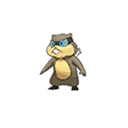 Shiny Patrat as it appears in Sun & Moon